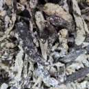 명지농장1 이미지