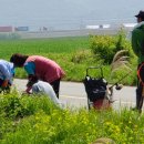 덕천3리 이미지