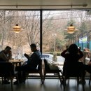 메이플커피 네이버블로그