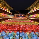 삼광사 Daum카페