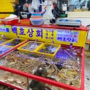 백호건어물