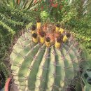 강수농장 이미지