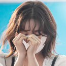 와니 이미지