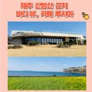루시아펜션 | 제주 산방산 근처 바다 뷰 끝판왕, '카페 루시아' 후기! 박수기정과 유채꽃의 만남(@주차, 애견동반...