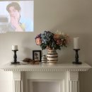 스테이동백 이미지