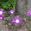 호텔 오월로 이미지