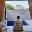 한동리브로콜리 이미지