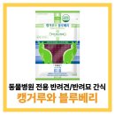 캥거루 동물병원 이미지