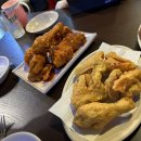 꼬꼬리아 이미지