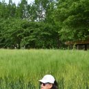 갤러리순 이미지