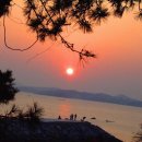 부석-비상-2 이미지