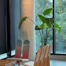 창원시립테니스장 코트장 | &lt;창원 카페&gt; 시그니처 음료와 케이크가 맛있는 창원 대형카페 오션 크림슨