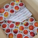 후레쉬팩토리 이미지