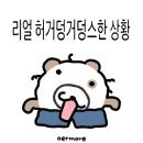 (주)구띠 | 산뜻하게 레스코 2026 1월