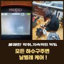 대성동입구 1 이미지