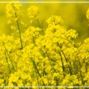 세탁느낌 이미지