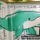 협동조합민트고래 이미지
