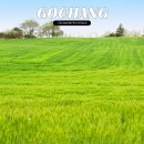 일원농장 | 고창 청보리밭 축제 2026 일정 유채꽃 학원농장 주차장 전북 가볼만한곳