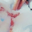 보보나마켓 이미지