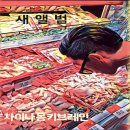 브레인치즈