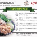 낙지마실