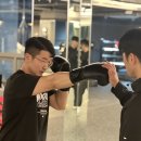 복싱인사이드 헝크짐 이미지