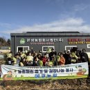 남세종종합청소년센터 | 지역 농산물로 담근 김치 이웃과 나눠요 - 남세종종합청소년센터, 배추농가 일손 돕기 및 김장 봉사활동...