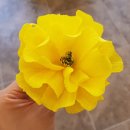 김해공예사