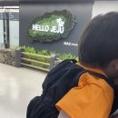 제주라온카시트