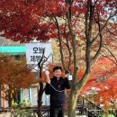 동의주열 이미지