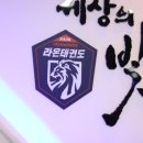 진영라온태권도장 이미지