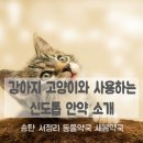 송탄 서정리 동물약국 이미지