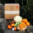 무릉외갓집 이미지