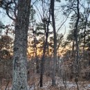 국사봉 지석묘군 이미지