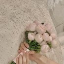 호텔메르시 이미지