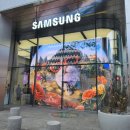 장찬 | 갤럭시 S26 삼성 강남 한정 컬러 핑크 실물 보고 실버로 사전예약한 후기