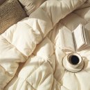 빛고을세탁 이미지