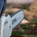 나무정원치과의원 네이버블로그