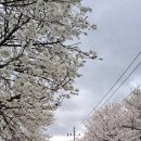 현내1리 이미지