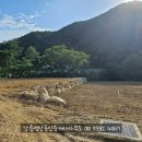 강릉성산 공인중개사사무소 네이버블로그