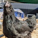 아성슈퍼 이미지