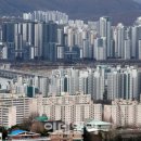 서울양재초등학교 이미지