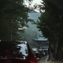 내원사계곡(내원사) 이미지