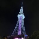 세븐일레븐 신탄진본점 | 나고야 3박 4일 일정, 에어로케이 지연, 청주공항 몇시간전? 무궁화호 거리 막차