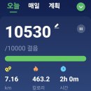 파크골프장에서 하루시작 이미지