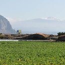 대정읍-2 이미지