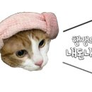 대운한우암소회관 이미지