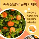 수곡어린이집 이미지