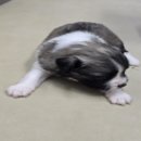 남지카공업사 이미지