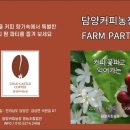 법인커피농장